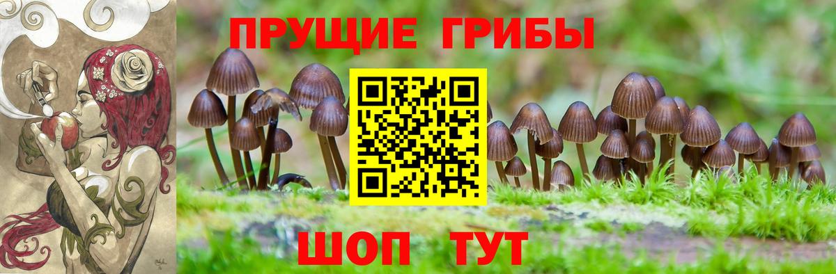 Псилоцибиновые грибы ЛСД Кудымкар